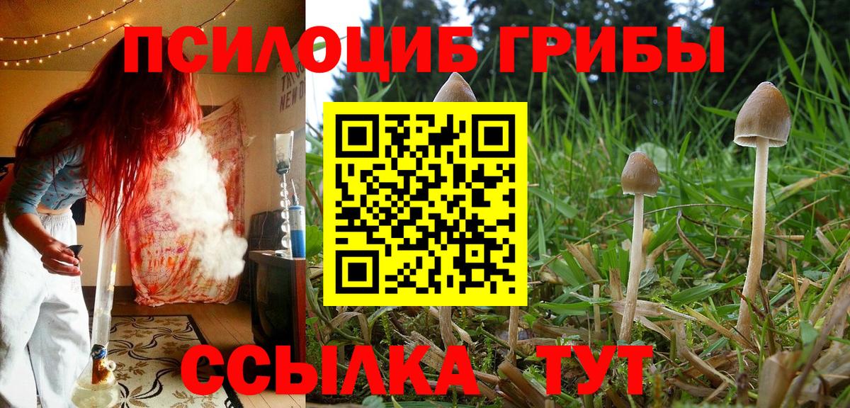 Псилоцибиновые грибы мухоморы Ковров