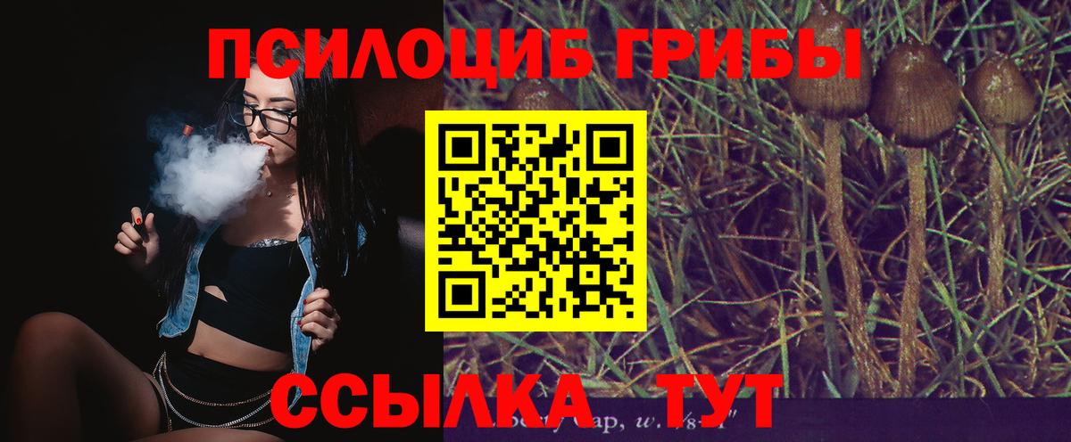 Псилоцибиновые грибы прущие грибы  Вход с VPN  Ковров 